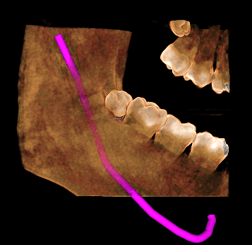 Figura 5