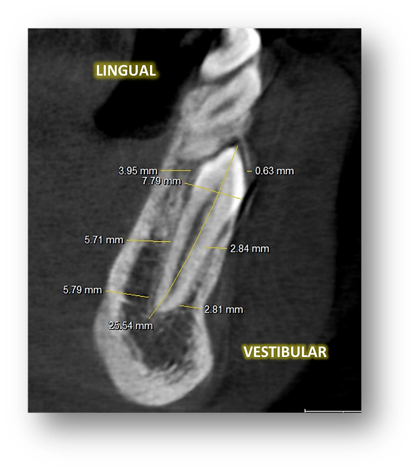 FIGURA 5