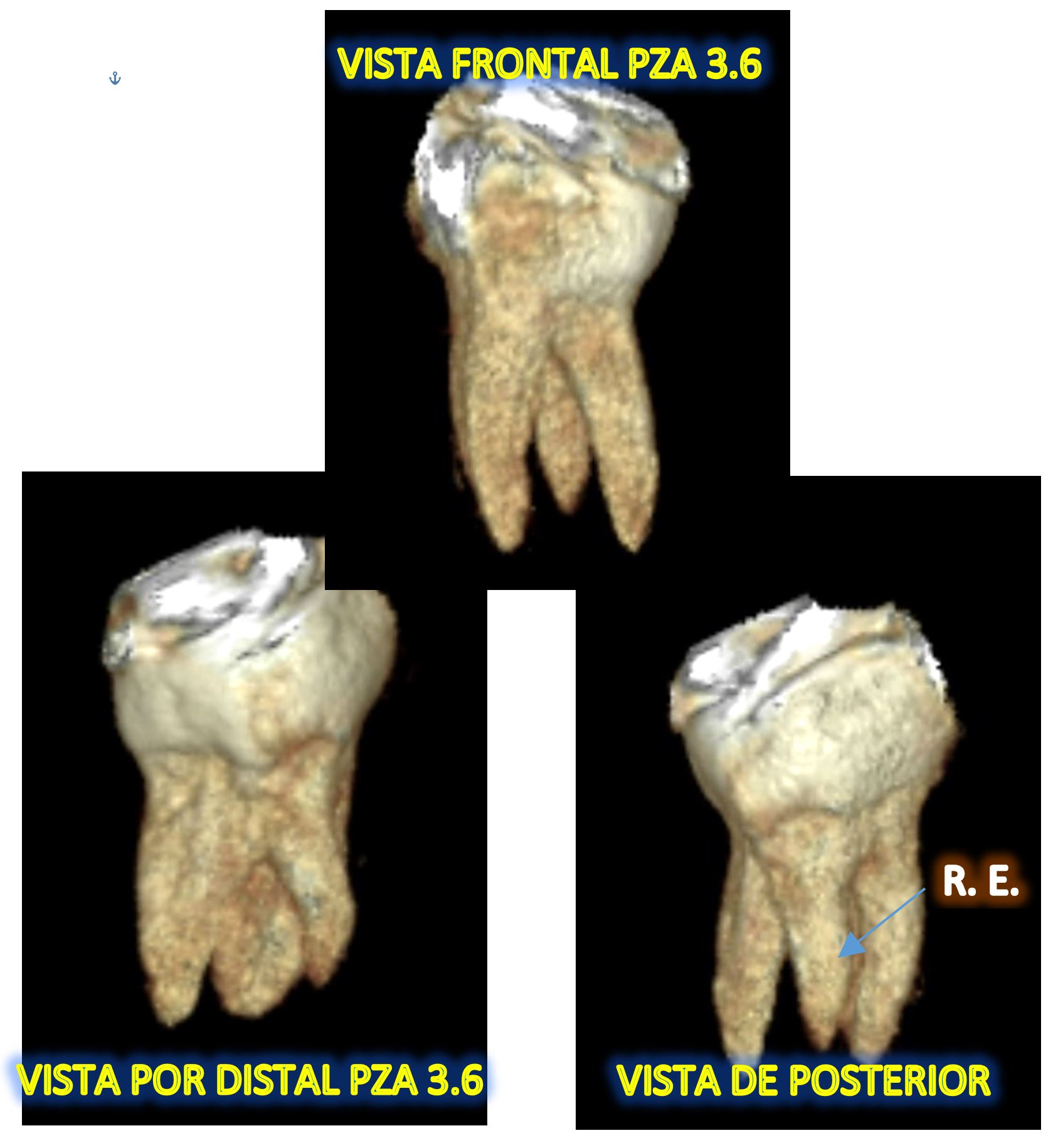 FIGURA 6