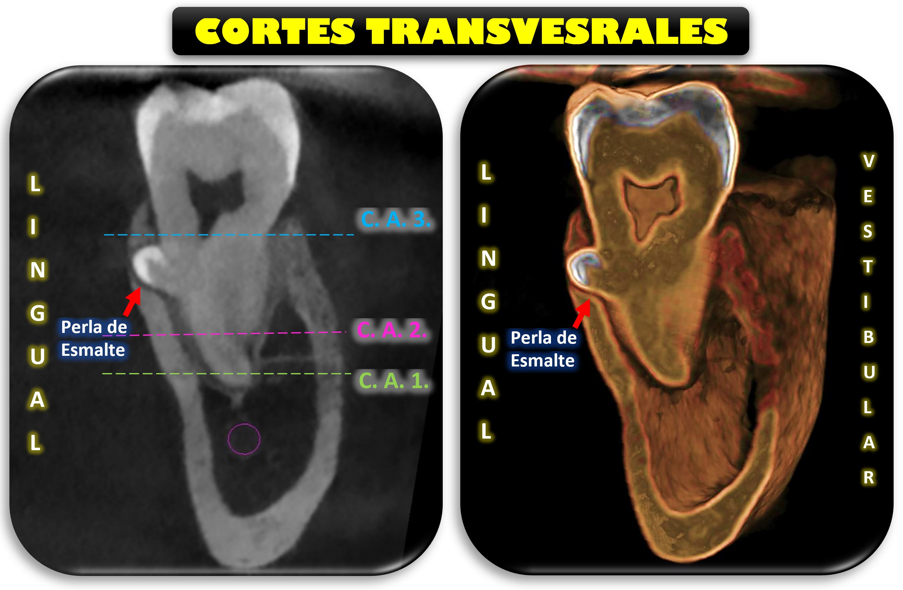 FIGURA 3