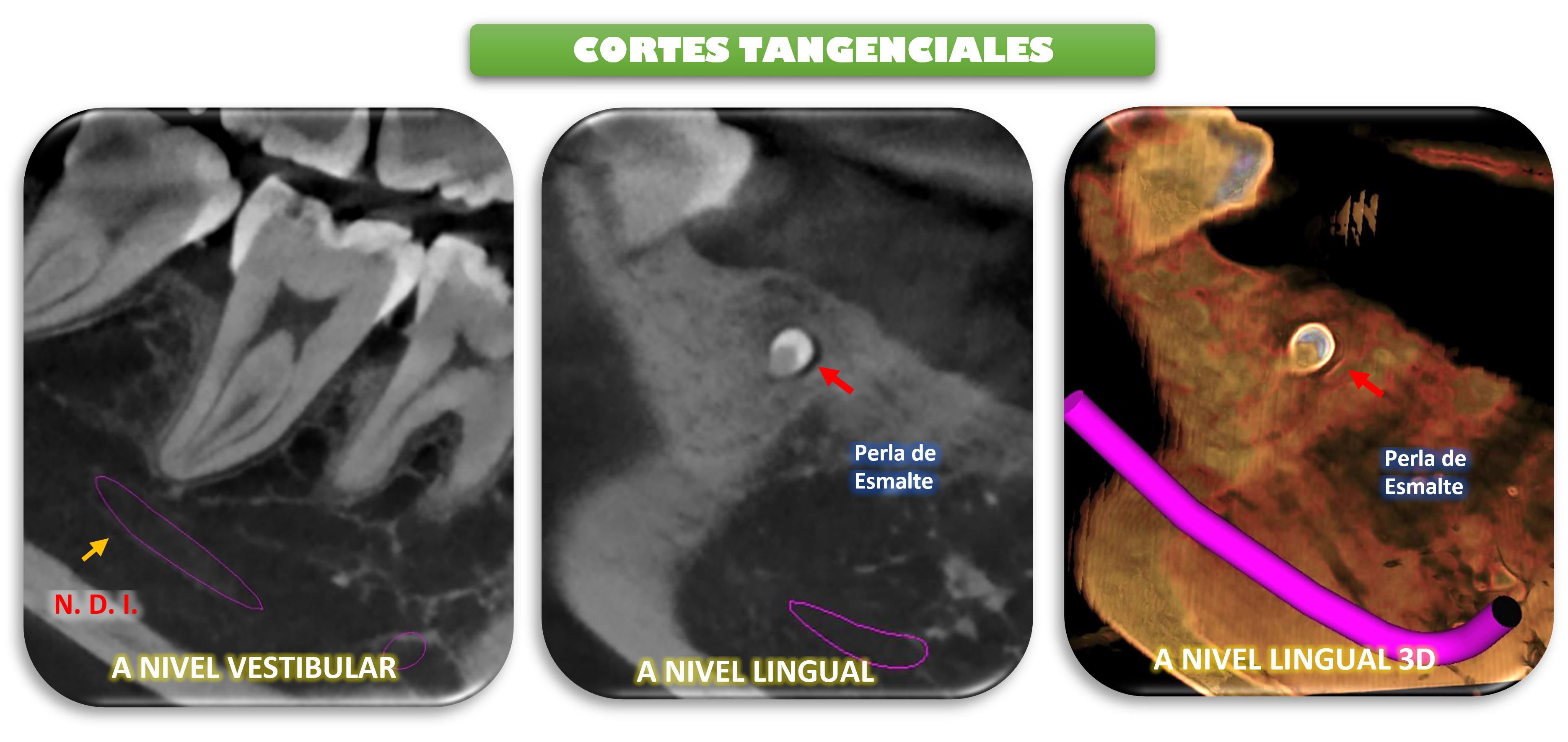 FIGURA 5