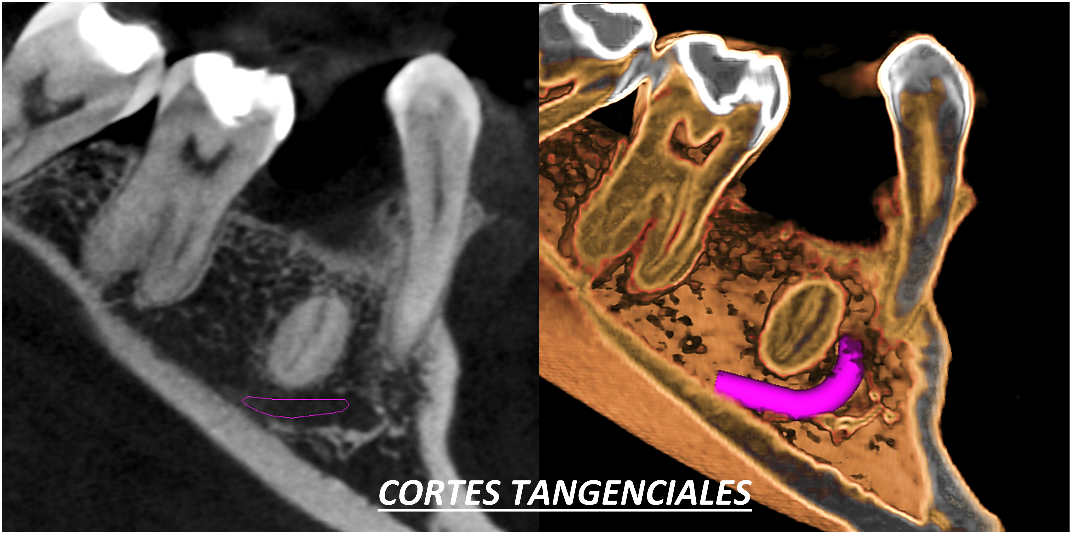 EVALUACION 3D